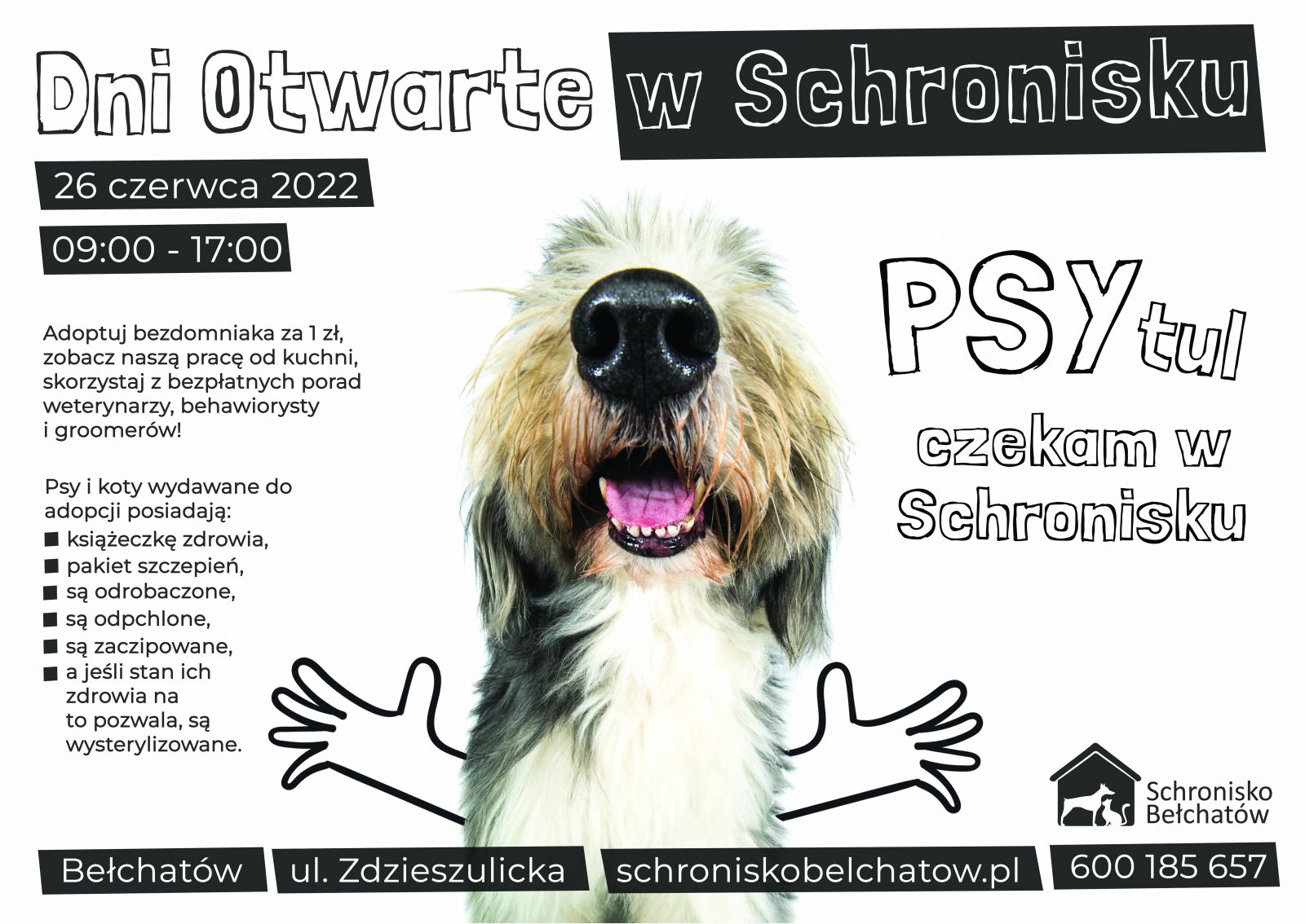 plakat psytul mnie