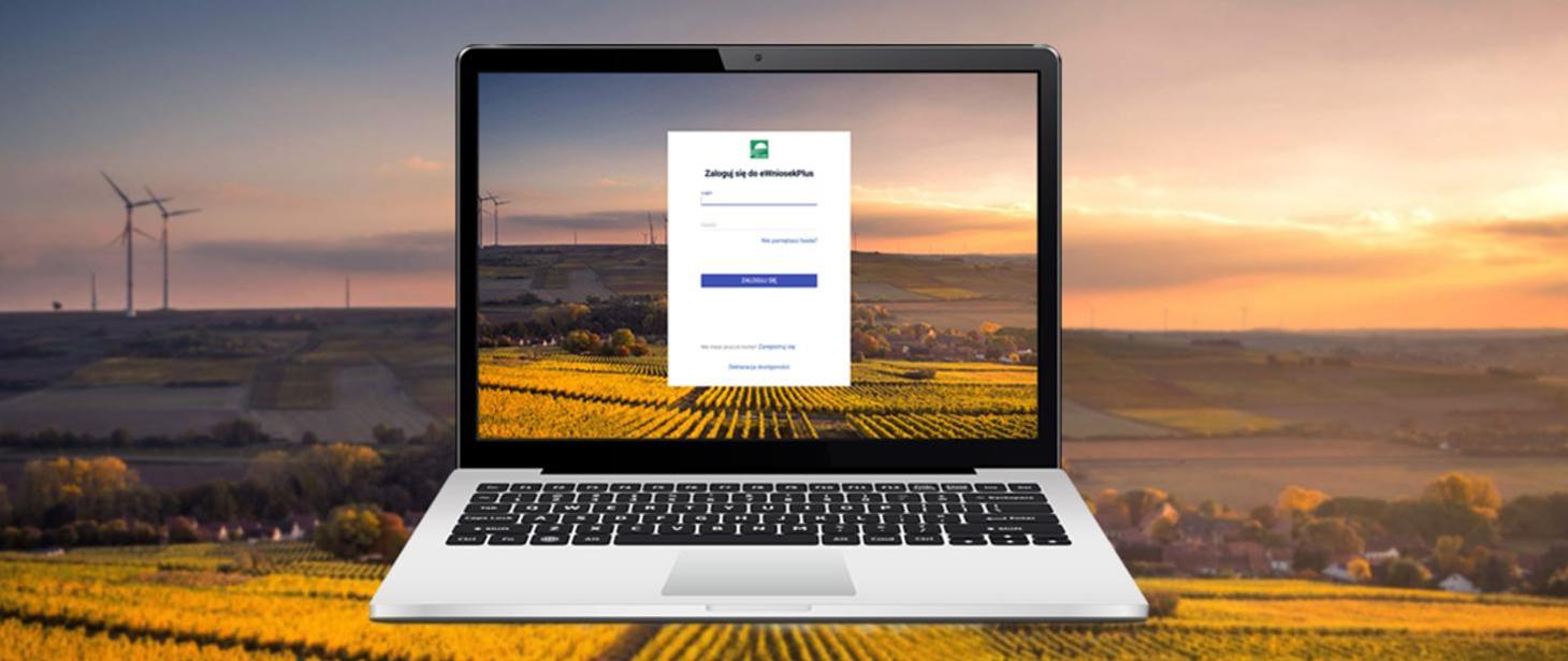 Dopłaty 2023 – przyjęto ponad 81 tys. wniosków, eksperci z ODR bezpłatnie pomagają wypełniać dokumenty