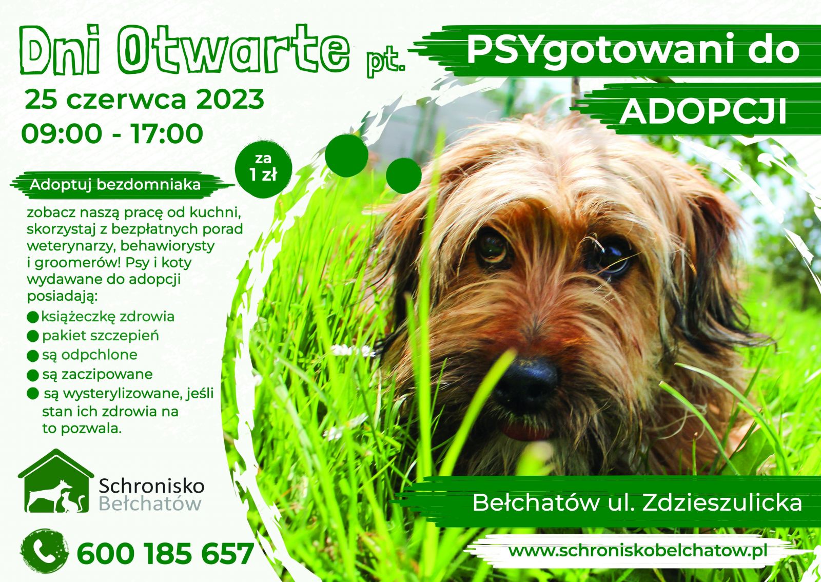 Dzień otwarty Schroniska