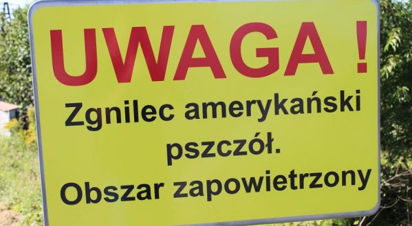 Zgnilec amerykański pszczół - obszar zapowietrzony