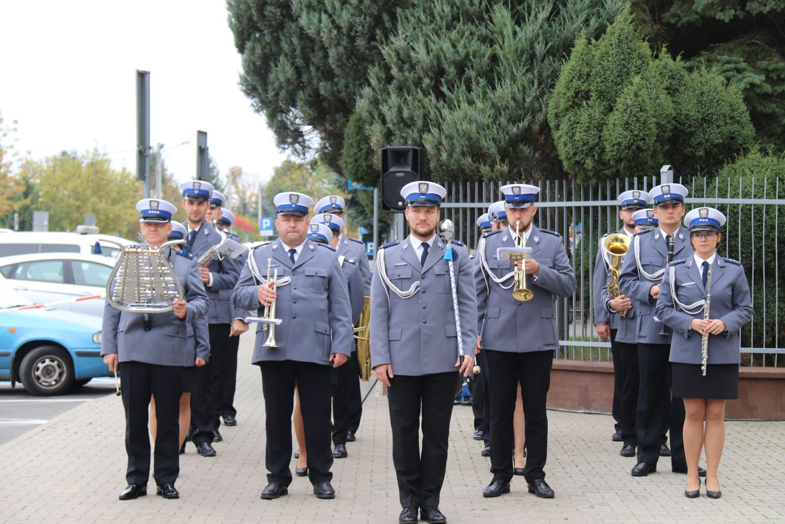 policja