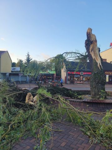 Drodzy Mieszkańcy !  W nocy, podczas przechodzącej burzy, na skutek wyładowania atmosferycznego, rażona piorunem została jedna z wierzb w Rynku. Aktualnie strażacy usuwają jej części, ze względu na stwarzające zagrożenie dla zdrowia i życia osób korzystających z parku.
