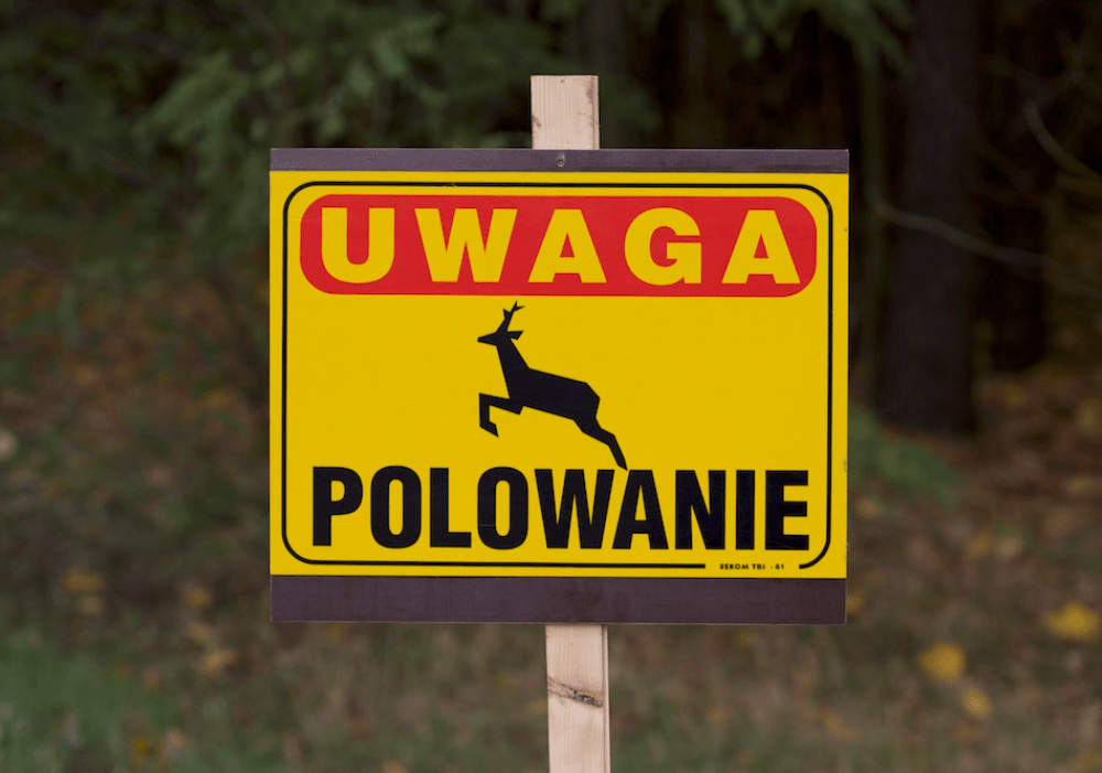 Polowania dewizowe - Koło Łowieckie nr 23 „Gwardia-Dąb”
