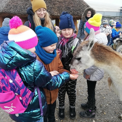 Smocze Ferie - wyjazd do Alpakarni