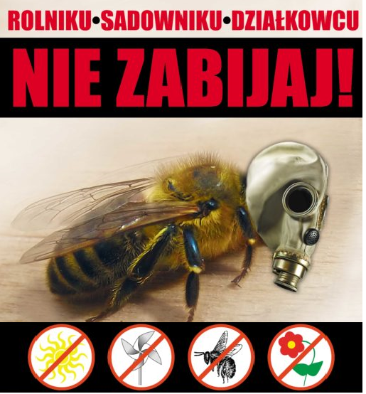 Chroniąc rośliny - chrońmy pszczoły
