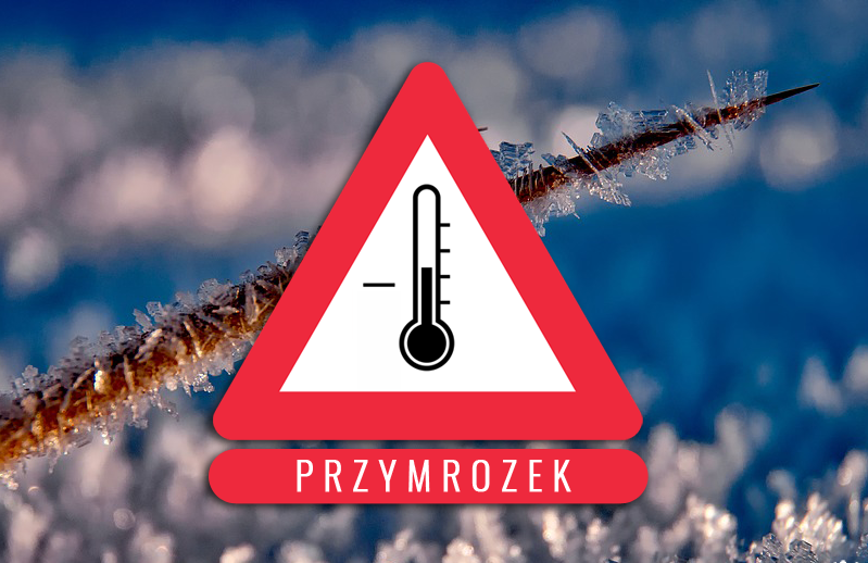 Ostrzeżenie przymrozki