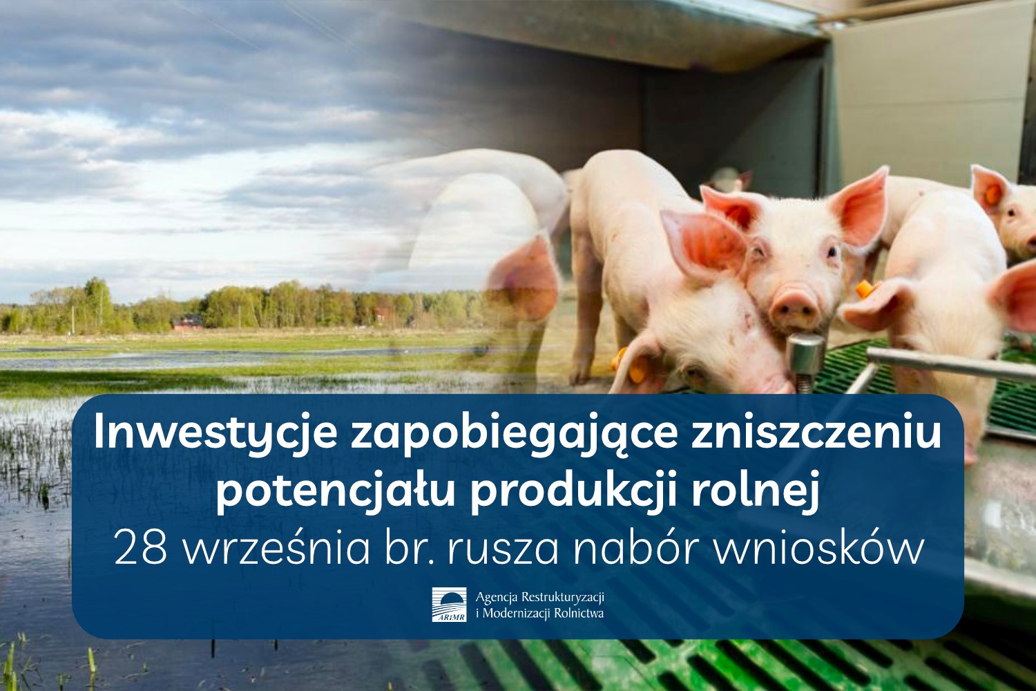 Inwestycje zapobiegające zniszczeniu potencjału produkcji rolnej – wkrótce rusza nabór 