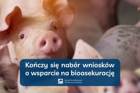 Kończy się nabór wniosków o wsparcie na bioasekurację