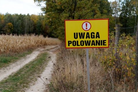 polowanie