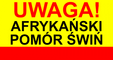 uwaga afrykański pomór świń