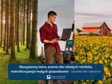 Ekosystemy leśne, premie dla młodych rolników, restrukturyzacja małych gospodarstw – ostatnie dni na ubieganie się o pomoc