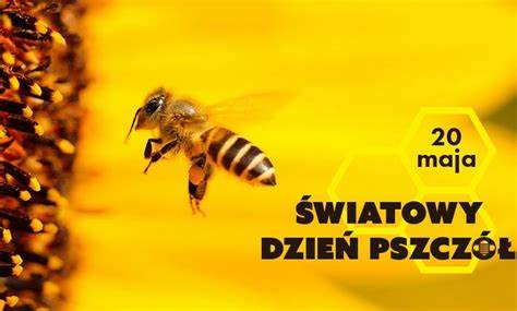 20 maja Światowy Dzień Pszczół
