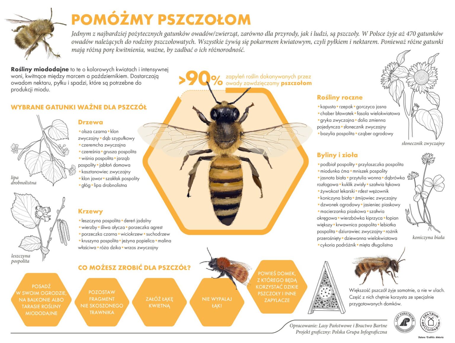 pomóżmy pszczołom