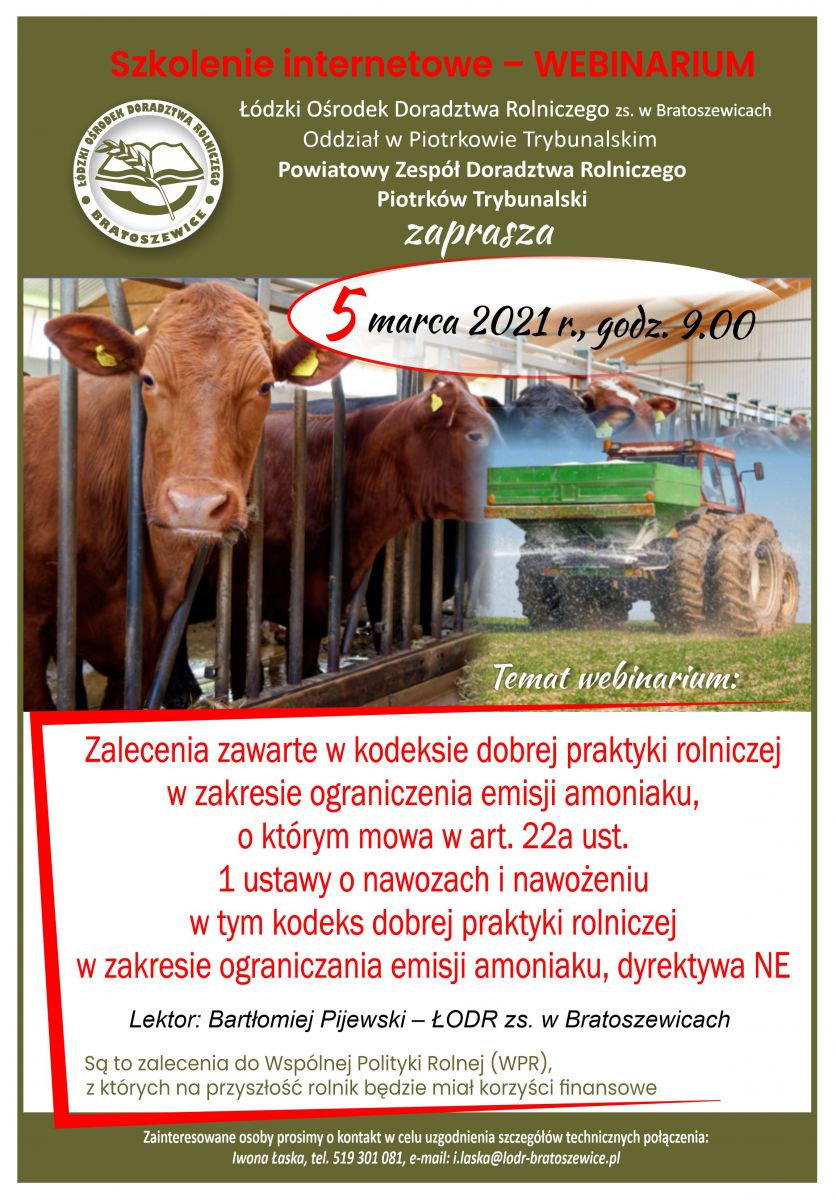 szkolenie internetowe