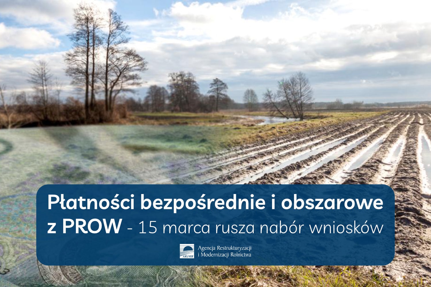 Dopłaty bezpośrednie i obszarowe z PROW za 2022 rok – już można składać wnioski -