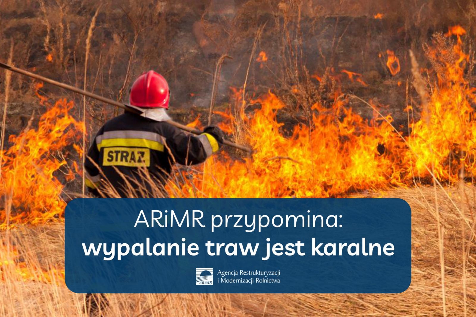 Wypalanie traw i nieużytków rolnych niebezpieczne i karalne