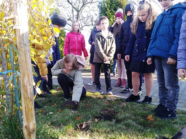 PROJEKT KROKUS w SP Krzemieniewice