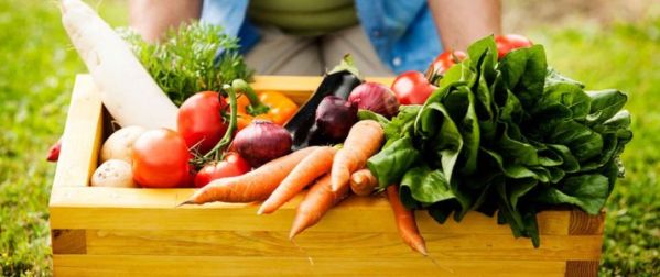 Ryneczek marszałkowski &ndash; prosto od rolnika