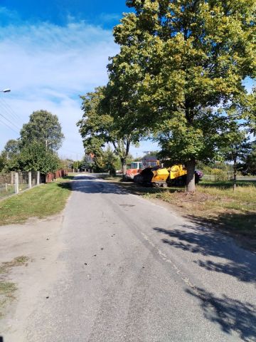 Roboty drogowe - Daniszewice