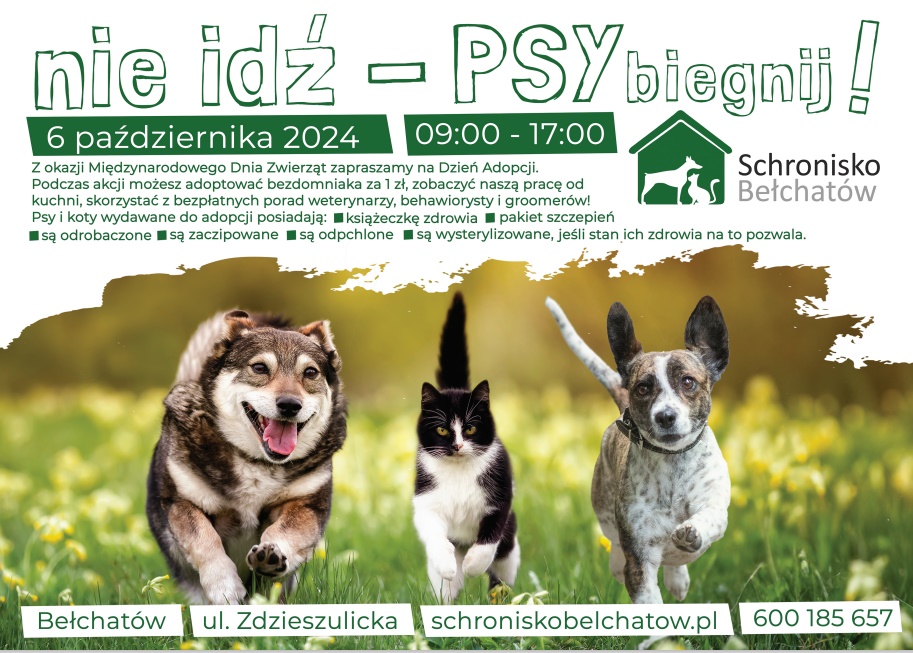 psy
