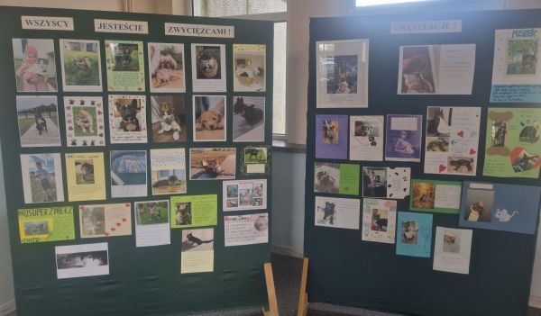 Konkurs pt. Mój super zwierz – SP Gorzkowice