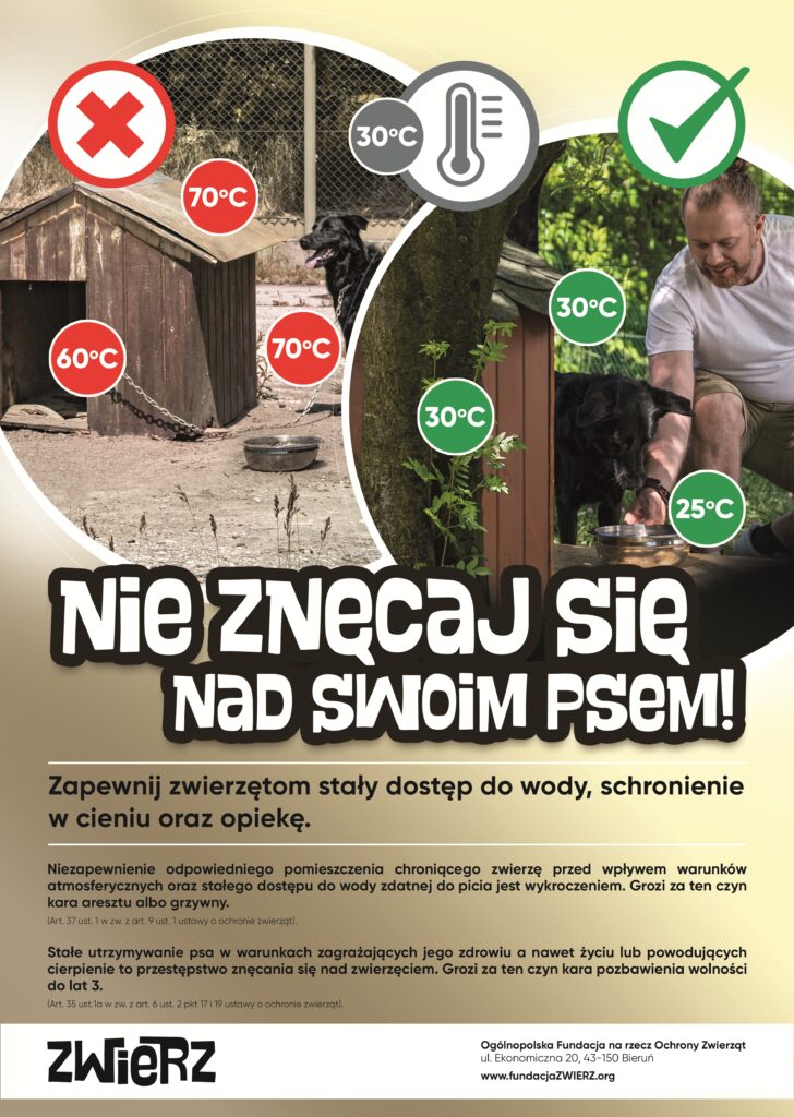 Zadbaj o zwierzęta w czasie upałów