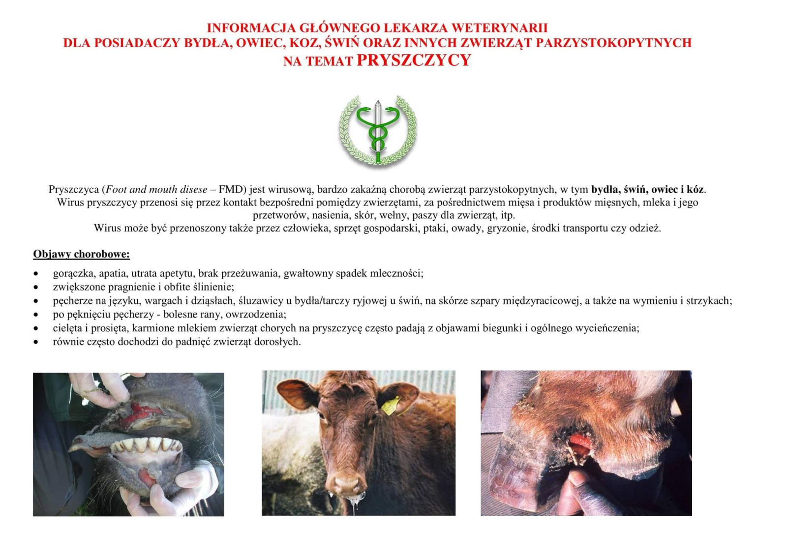 Informacje od Lekarzy Weterynarii nt. pryszczycy 3
