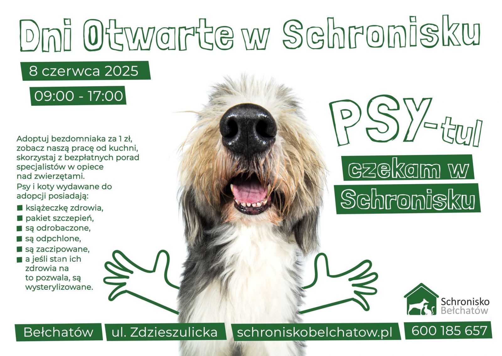 PSYtul – czekają na Ciebie w schronisku! Dzień Otwarty już 8 czerwca!