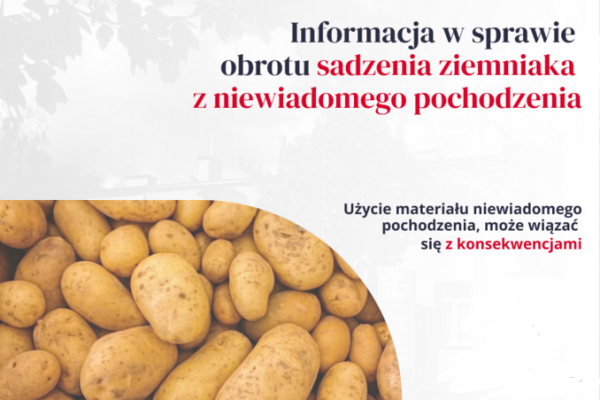 Nie kupujmy ziemniaków niewiadomego pochodzenia