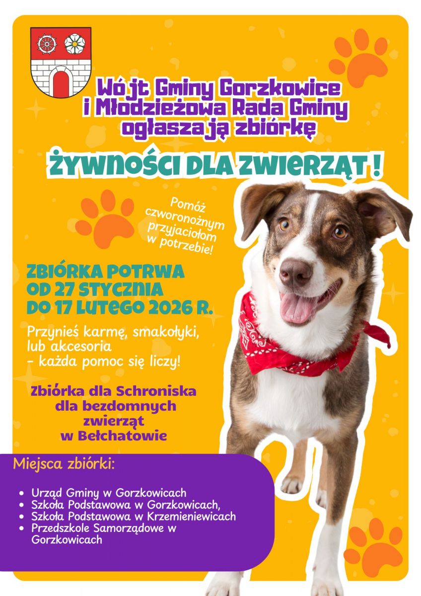 Zbiórka na rzecz schroniska