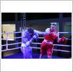 Galeria zdjęć: I Gala Boksu o Puchar Wójta Gminy Gorzkowice. Link otwiera powiększoną wersję zdjęcia.