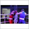 Galeria zdjęć: I Gala Boksu o Puchar Wójta Gminy Gorzkowice. Link otwiera powiększoną wersję zdjęcia.
