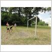 Galeria zdjęć: Szkolny Dzień Sportu - SP w Gościnnej. Link otwiera powiększoną wersję zdjęcia.