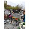 Galeria zdjęć: . Link otwiera powiększoną wersję zdjęcia.