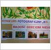Galeria zdjęć: . Link otwiera powiększoną wersję zdjęcia.