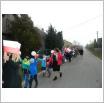 Galeria zdjęć: . Link otwiera powiększoną wersję zdjęcia.