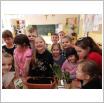 Galeria zdjęć: . Link otwiera powiększoną wersję zdjęcia.
