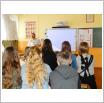 Galeria zdjęć: . Link otwiera powiększoną wersję zdjęcia.