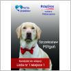 Galeria zdjęć: . Link otwiera powiększoną wersję zdjęcia.