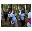 Galeria zdjęć: . Link otwiera powiększoną wersję zdjęcia.