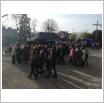 Galeria zdjęć: Zbiórka dla Weroniki. Link otwiera powiększoną wersję zdjęcia.
