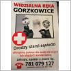 Galeria zdjęć: . Link otwiera powiększoną wersję zdjęcia.