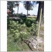 Galeria zdjęć: . Link otwiera powiększoną wersję zdjęcia.