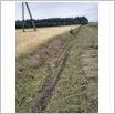 Galeria zdjęć: . Link otwiera powiększoną wersję zdjęcia.