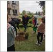 Galeria zdjęć: Realizacja Innowacji Pedagogicznej EkoEmocje w Szkole Podstawowej w Gorzkowicach - Drzewko z Emocją. Link otwiera powiększoną wersję zdjęcia.