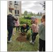 Galeria zdjęć: Realizacja Innowacji Pedagogicznej EkoEmocje w Szkole Podstawowej w Gorzkowicach - Drzewko z Emocją. Link otwiera powiększoną wersję zdjęcia.