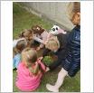 Galeria zdjęć: Realizacja Innowacji Pedagogicznej EkoEmocje w Szkole Podstawowej w Gorzkowicach - Drzewko z Emocją. Link otwiera powiększoną wersję zdjęcia.