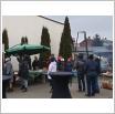 Galeria zdjęć: . Link otwiera powiększoną wersję zdjęcia.