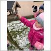 Galeria zdjęć: . Link otwiera powiększoną wersję zdjęcia.