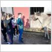 Galeria zdjęć: . Link otwiera powiększoną wersję zdjęcia.